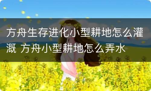 方舟生存进化小型耕地怎么灌溉 方舟小型耕地怎么弄水