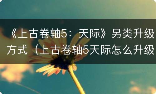 《上古卷轴5：天际》另类升级方式（上古卷轴5天际怎么升级）