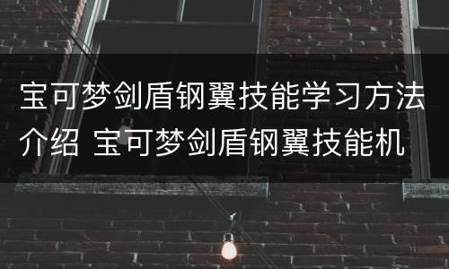 宝可梦剑盾钢翼技能学习方法介绍 宝可梦剑盾钢翼技能机