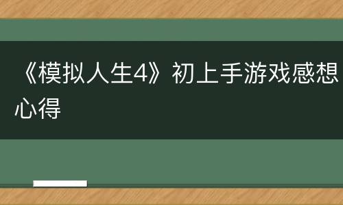 《模拟人生4》初上手游戏感想心得