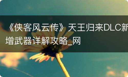 《侠客风云传》天王归来DLC新增武器详解攻略_网