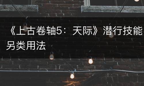 《上古卷轴5：天际》潜行技能另类用法