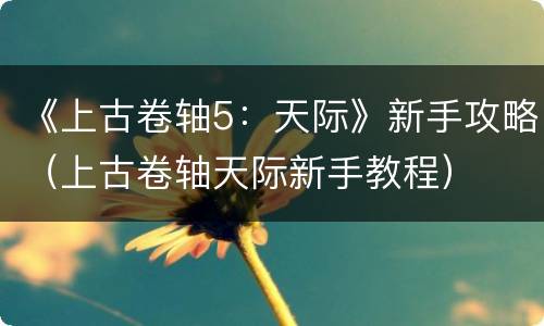 《上古卷轴5：天际》新手攻略（上古卷轴天际新手教程）