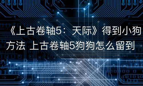 《上古卷轴5：天际》得到小狗方法 上古卷轴5狗狗怎么留到身边