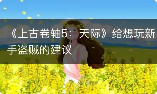 《上古卷轴5：天际》给想玩新手盗贼的建议