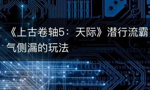 《上古卷轴5：天际》潜行流霸气侧漏的玩法