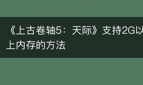 《上古卷轴5：天际》支持2G以上内存的方法