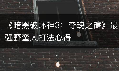 《暗黑破坏神3：夺魂之镰》最强野蛮人打法心得