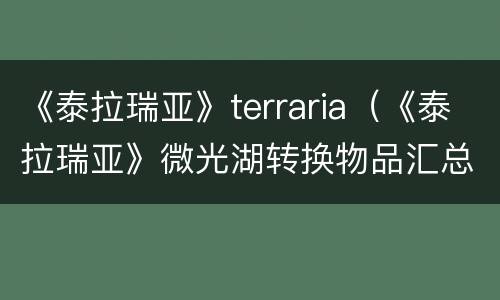 《泰拉瑞亚》terraria（《泰拉瑞亚》微光湖转换物品汇总）