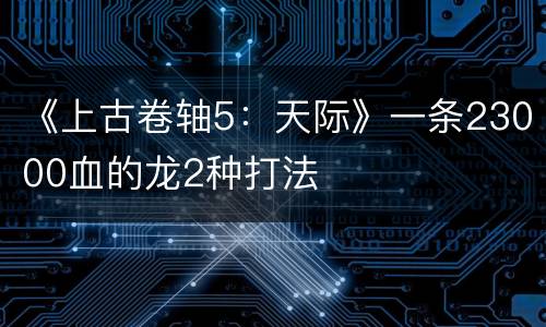 《上古卷轴5：天际》一条23000血的龙2种打法