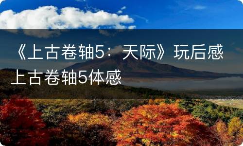 《上古卷轴5：天际》玩后感 上古卷轴5体感