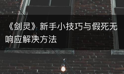 《剑灵》新手小技巧与假死无响应解决方法