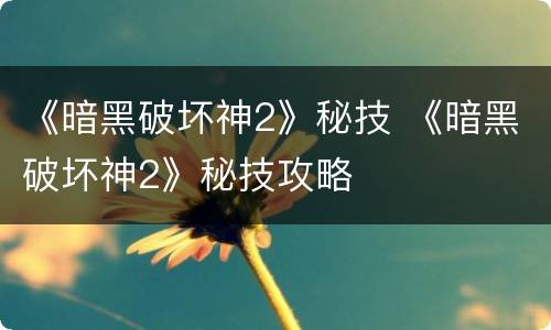 《暗黑破坏神2》秘技 《暗黑破坏神2》秘技攻略
