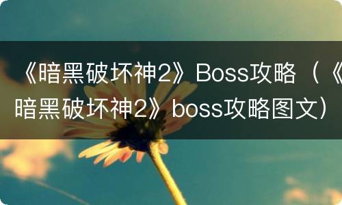 《暗黑破坏神2》Boss攻略（《暗黑破坏神2》boss攻略图文）