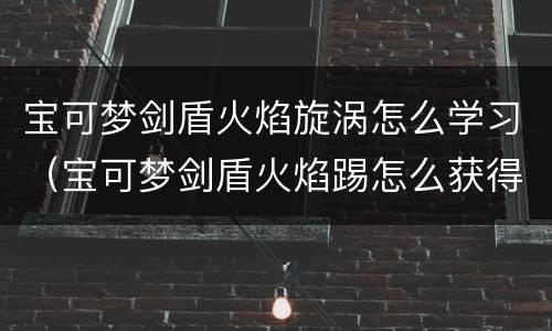 宝可梦剑盾火焰旋涡怎么学习（宝可梦剑盾火焰踢怎么获得）