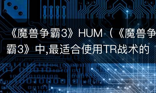 《魔兽争霸3》HUM（《魔兽争霸3》中,最适合使用TR战术的种族是?）
