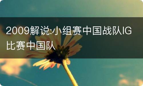 2009解说:小组赛中国战队IG 比赛中国队