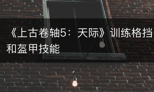 《上古卷轴5：天际》训练格挡和盔甲技能