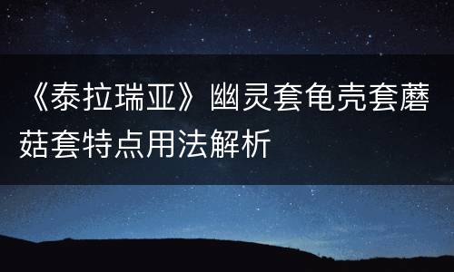 《泰拉瑞亚》幽灵套龟壳套蘑菇套特点用法解析
