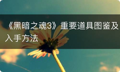 《黑暗之魂3》重要道具图鉴及入手方法