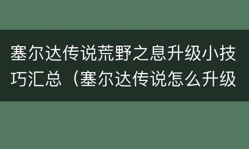 塞尔达传说荒野之息升级小技巧汇总（塞尔达传说怎么升级）