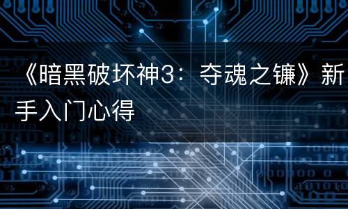 《暗黑破坏神3：夺魂之镰》新手入门心得