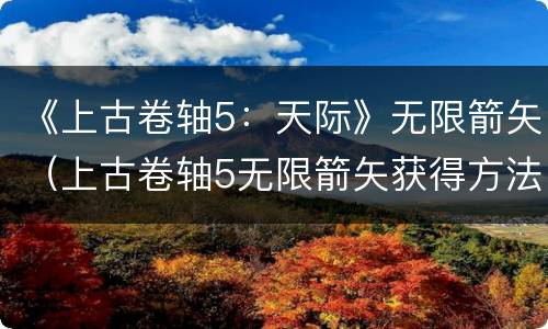 《上古卷轴5：天际》无限箭矢（上古卷轴5无限箭矢获得方法）