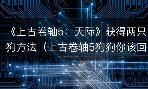 《上古卷轴5：天际》获得两只狗方法（上古卷轴5狗狗你该回家了）