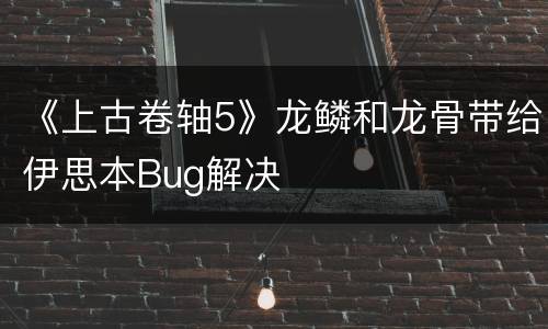 《上古卷轴5》龙鳞和龙骨带给伊思本Bug解决