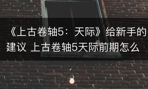 《上古卷轴5：天际》给新手的建议 上古卷轴5天际前期怎么玩