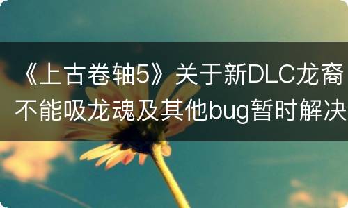 《上古卷轴5》关于新DLC龙裔不能吸龙魂及其他bug暂时解决办法