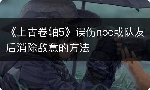 《上古卷轴5》误伤npc或队友后消除敌意的方法
