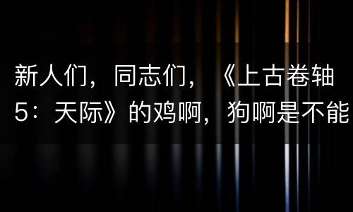 新人们，同志们，《上古卷轴5：天际》的鸡啊，狗啊是不能乱射的