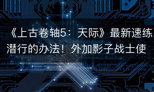 《上古卷轴5：天际》最新速练潜行的办法！外加影子战士使用心得