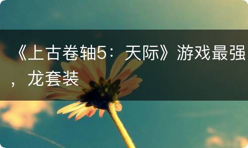 《上古卷轴5：天际》游戏最强，龙套装