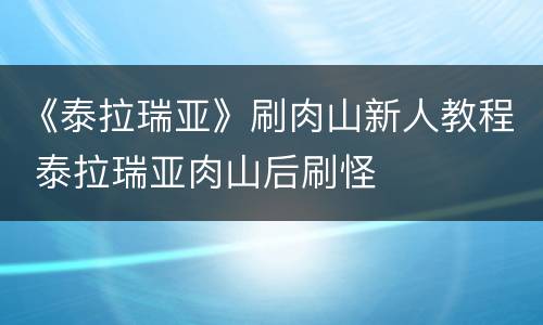 《泰拉瑞亚》刷肉山新人教程 泰拉瑞亚肉山后刷怪