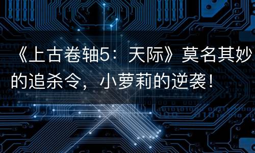 《上古卷轴5：天际》莫名其妙的追杀令，小萝莉的逆袭！