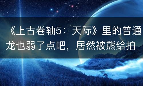 《上古卷轴5：天际》里的普通龙也弱了点吧，居然被熊给拍死了