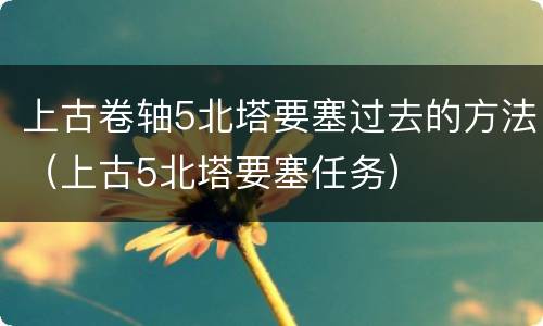 上古卷轴5北塔要塞过去的方法（上古5北塔要塞任务）
