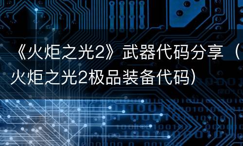 《火炬之光2》武器代码分享（火炬之光2极品装备代码）