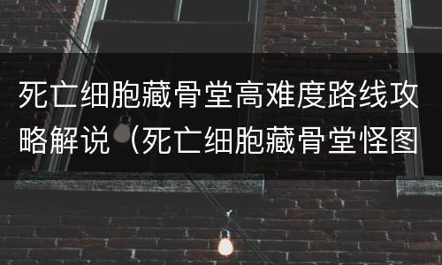 死亡细胞藏骨堂高难度路线攻略解说（死亡细胞藏骨堂怪图鉴）
