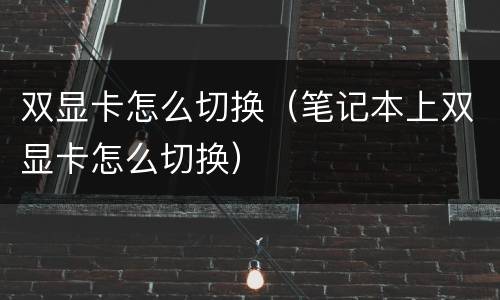 双显卡怎么切换（笔记本上双显卡怎么切换）