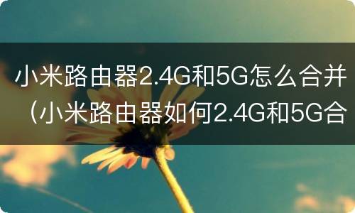 小米路由器2.4G和5G怎么合并（小米路由器如何2.4G和5G合并）