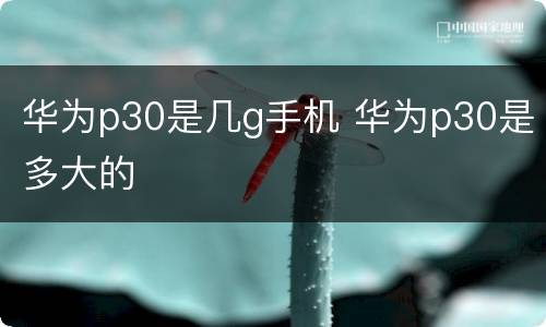 华为p30是几g手机 华为p30是多大的