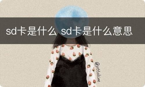 sd卡是什么 sd卡是什么意思