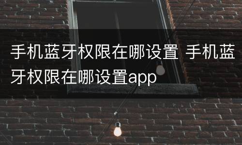 手机蓝牙权限在哪设置 手机蓝牙权限在哪设置app
