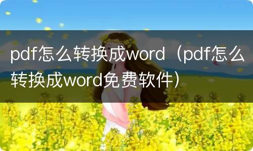 pdf怎么转换成word（pdf怎么转换成word免费软件）