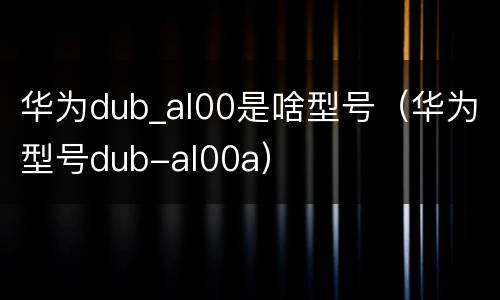 华为dub_al00是啥型号（华为型号dub-al00a）