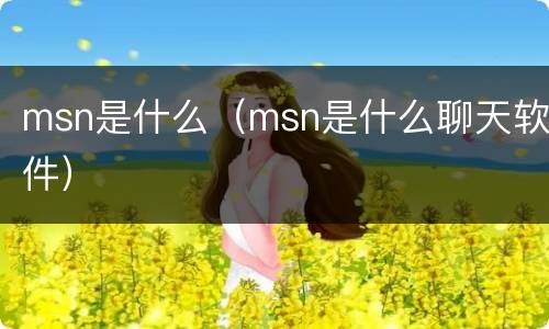 msn是什么（msn是什么聊天软件）
