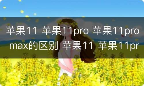 苹果11 苹果11pro 苹果11pro max的区别 苹果11 苹果11pro 苹果11pro max的区别有哪些